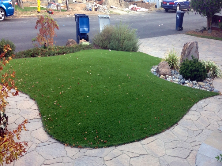 Synthetic Grass Cost East Oakdale, California Home And Garden