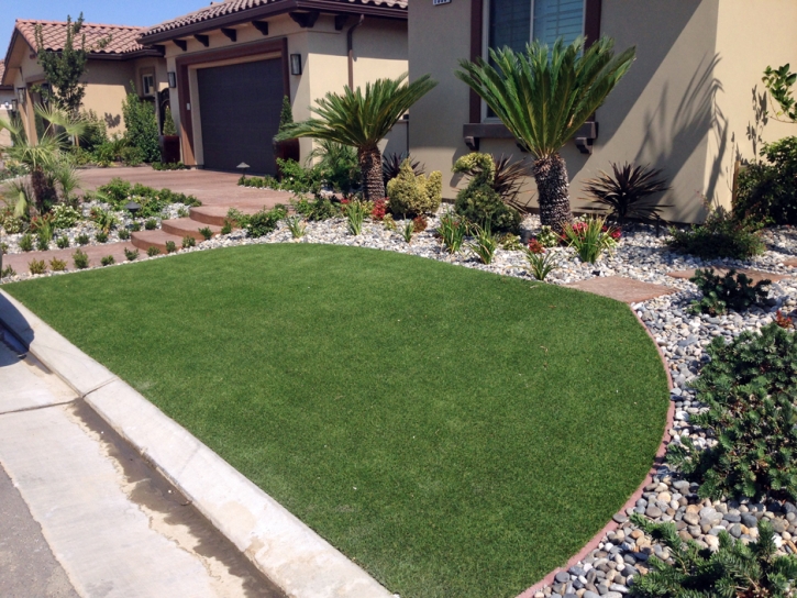 Synthetic Grass Cost Empire, California Lawns, Front Yard Landscaping Ideas