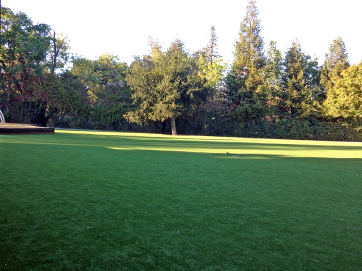 Synthetic Grass Cost Hickman, California Lawns, Parks