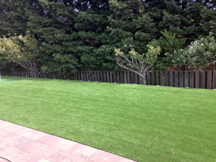 Synthetic Grass Cost Newman, California Lawn And Landscape, Backyard Landscaping Ideas