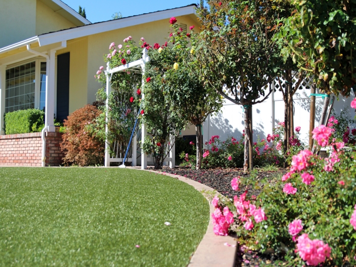 Synthetic Grass Cost Oakdale, California Roof Top, Front Yard Landscape Ideas