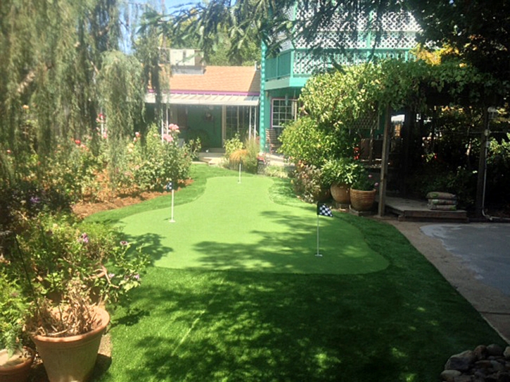 Synthetic Grass Cost Patterson, California Backyard Playground