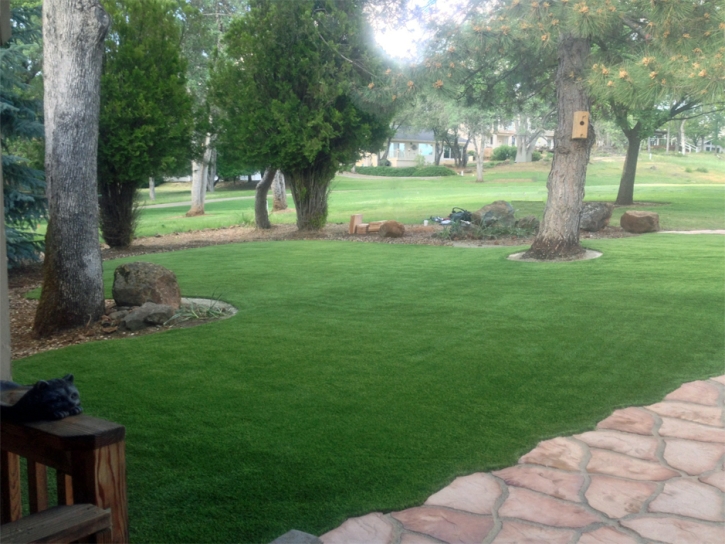 Synthetic Grass Cost Shackelford, California Garden Ideas, Front Yard Ideas