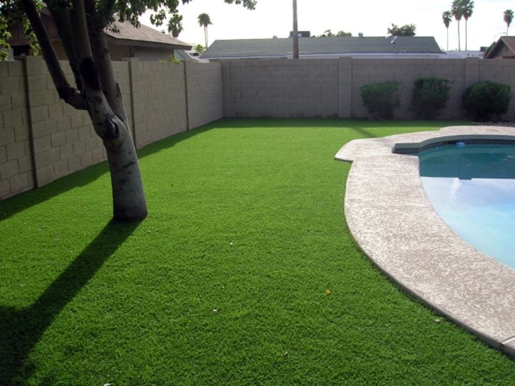 Synthetic Grass Cost Shackelford, California Landscape Photos, Backyard Ideas