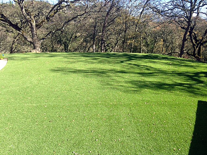 Synthetic Grass Cost Valley Home, California City Landscape, Parks