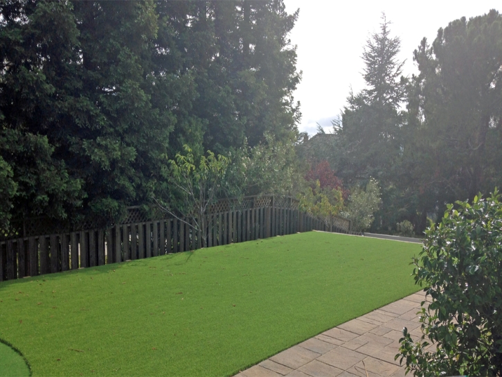 Synthetic Grass Cost Westley, California Paver Patio, Backyards