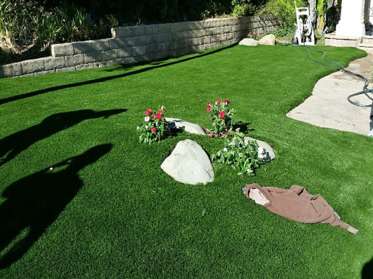 Synthetic Grass Crows Landing, California Landscape Ideas, Front Yard Landscape Ideas