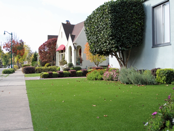 Synthetic Grass Del Rio, California Landscape Design, Front Yard Design