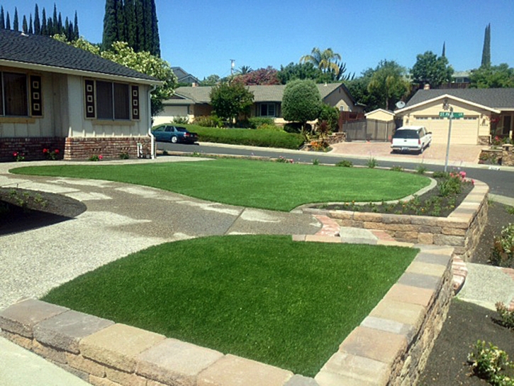 Synthetic Grass Empire, California Landscape Ideas