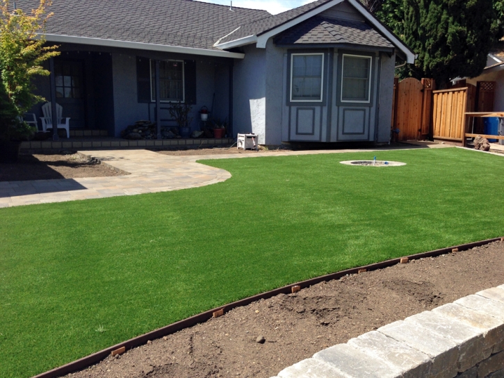 Synthetic Grass Hughson, California Gardeners, Front Yard Design