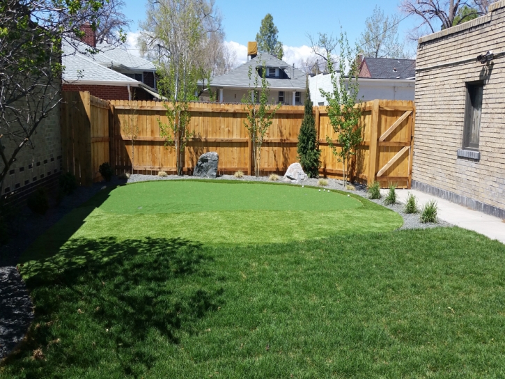 Synthetic Grass Keyes, California Garden Ideas, Backyard Landscape Ideas