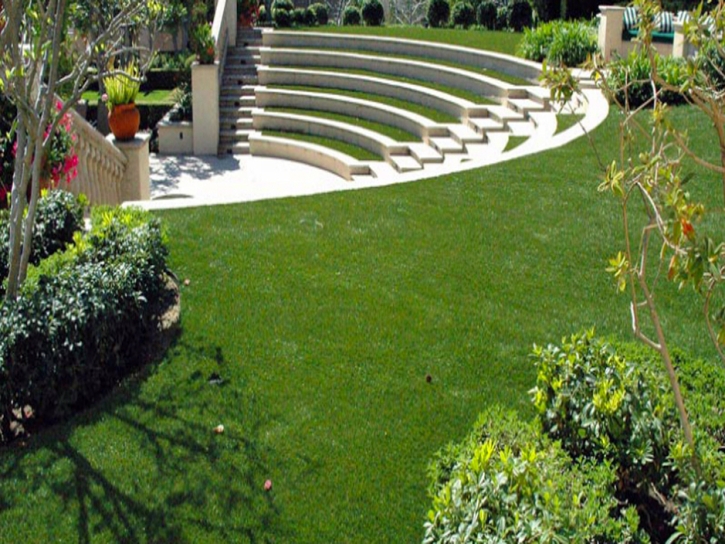 Synthetic Grass Modesto, California Design Ideas