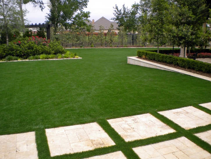 Synthetic Grass Newman, California City Landscape, Backyard Garden Ideas