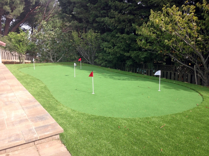 Synthetic Grass Oakdale, California Putting Green Carpet, Backyard Landscape Ideas