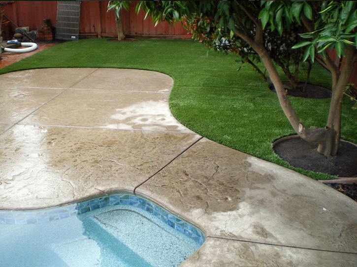 Synthetic Grass Riverbank, California Design Ideas, Backyard Landscaping