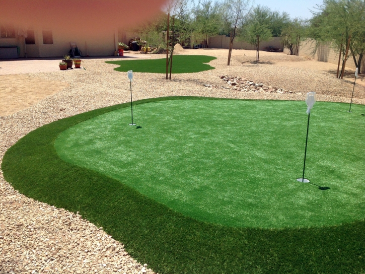 Synthetic Grass Turlock, California Putting Green Carpet, Backyard Landscaping