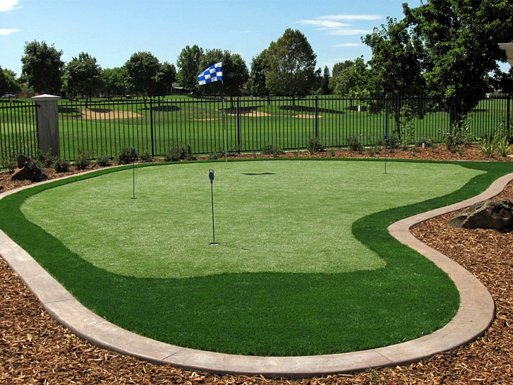 Synthetic Grass West Modesto, California Landscaping Business, Backyards