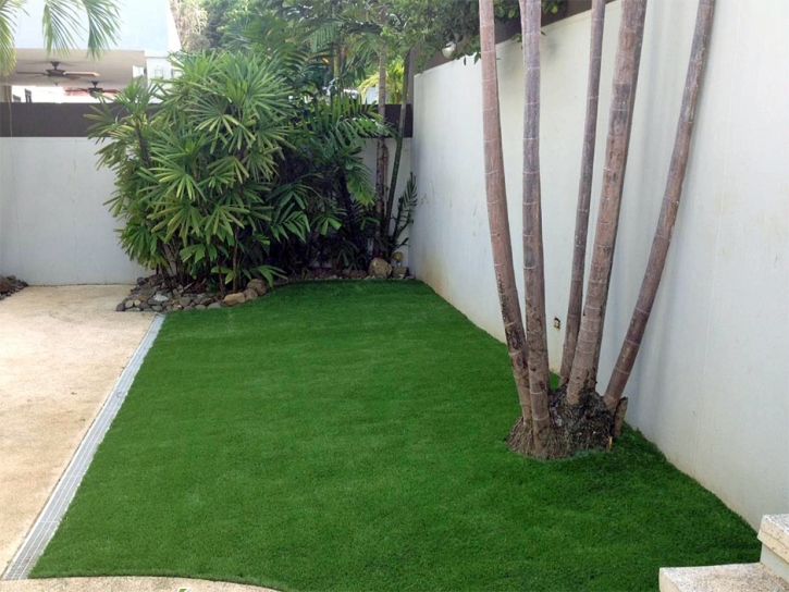 Synthetic Lawn Bystrom, California Backyard Playground, Backyard Landscaping Ideas