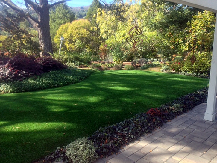 Synthetic Lawn Crows Landing, California City Landscape, Backyard Design