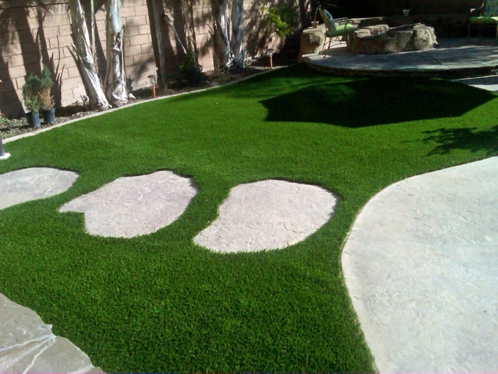 Synthetic Lawn Denair, California Backyard Playground, Backyard