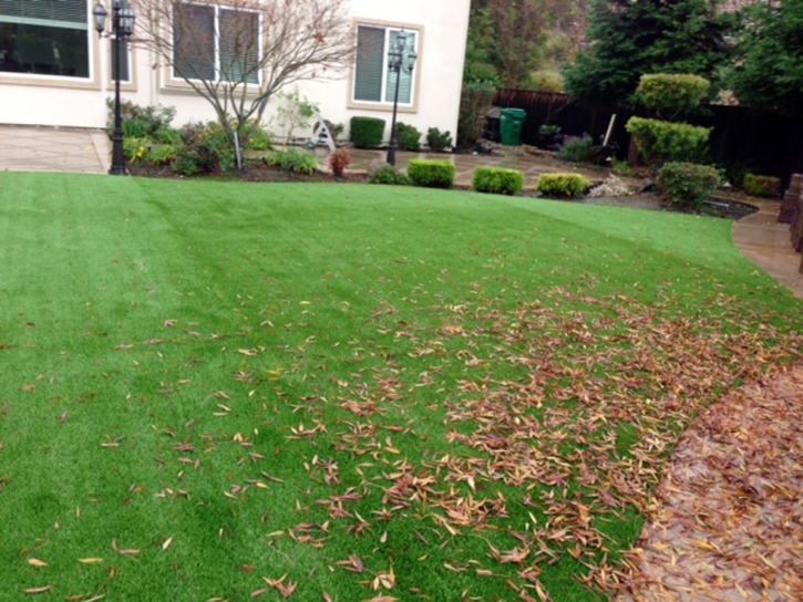 Synthetic Lawn Denair, California Lawns, Backyard Landscaping