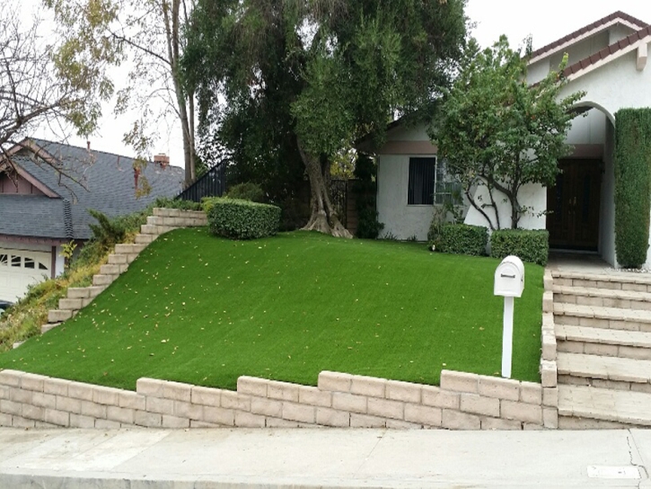 Synthetic Lawn East Oakdale, California City Landscape, Front Yard