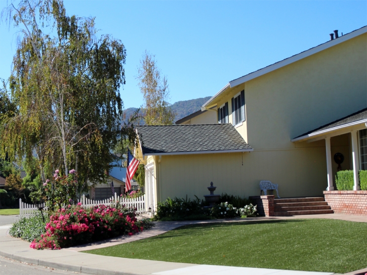 Synthetic Lawn Hughson, California City Landscape, Front Yard Design