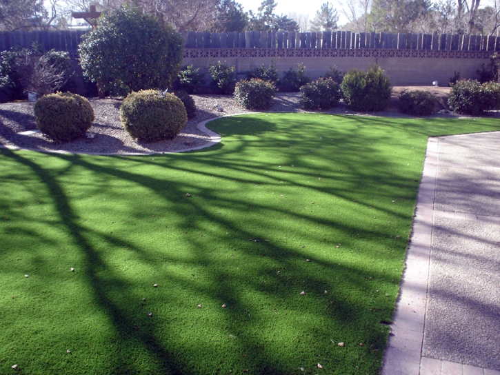 Synthetic Lawn Newman, California City Landscape, Front Yard