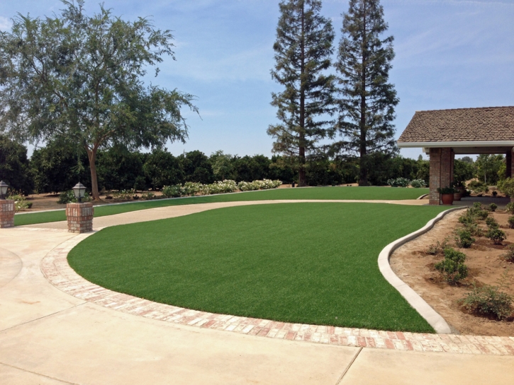 Synthetic Lawn Oakdale, California Landscape Photos, Front Yard Landscape Ideas