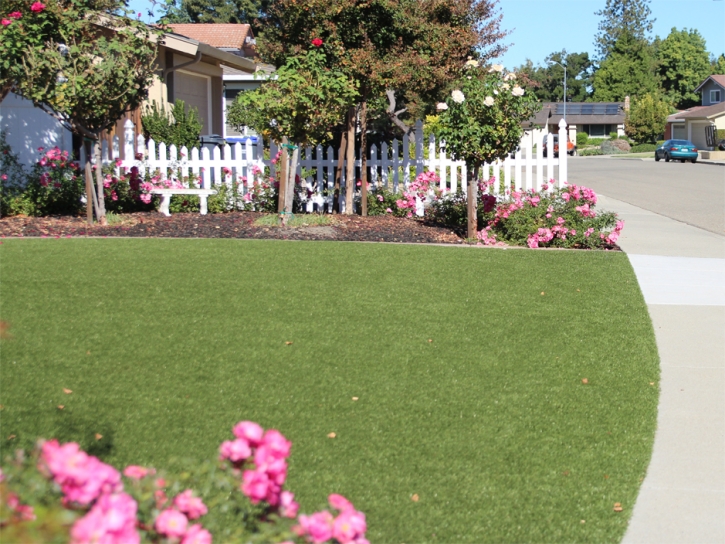 Synthetic Lawn Patterson, California Backyard Playground, Small Front Yard Landscaping