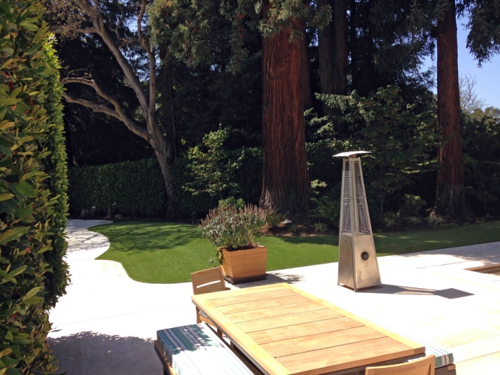 Synthetic Lawn Riverbank, California Rooftop, Small Backyard Ideas