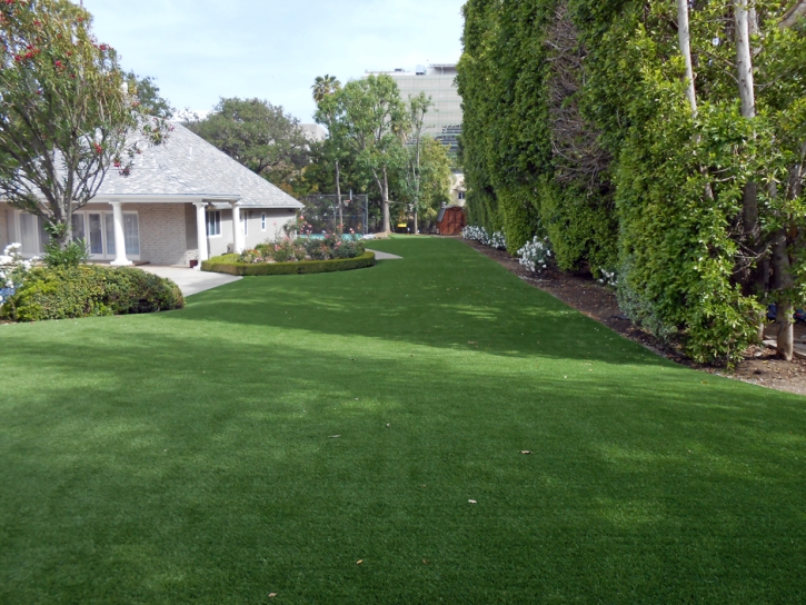 Synthetic Lawn Riverdale Park, California Dog Running, Small Front Yard Landscaping