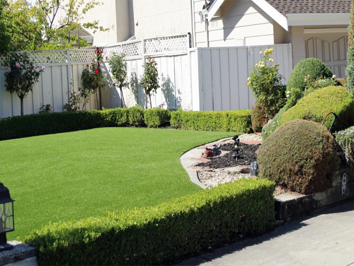 Synthetic Lawn Salida, California Lawn And Landscape, Small Front Yard Landscaping