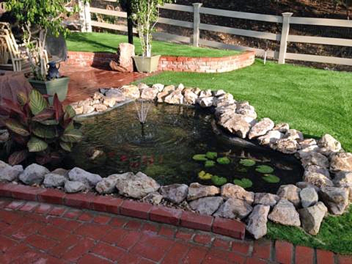 Synthetic Lawn Turlock, California Design Ideas, Swimming Pool Designs