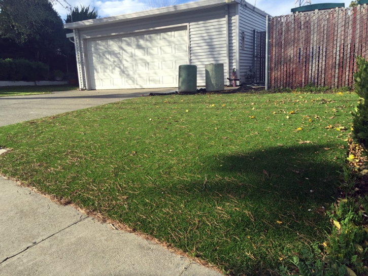 Synthetic Lawn Turlock, California Rooftop, Front Yard Landscaping