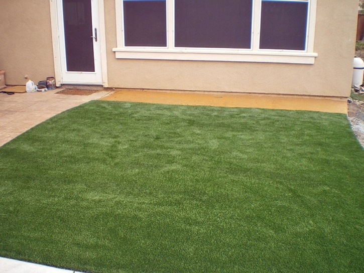 Synthetic Turf Bystrom, California Landscape Ideas, Small Backyard Ideas