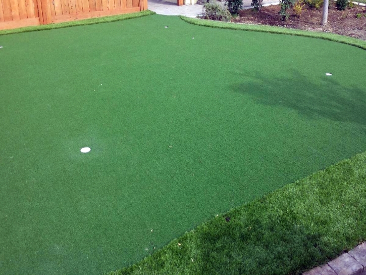 Synthetic Turf Crows Landing, California Design Ideas