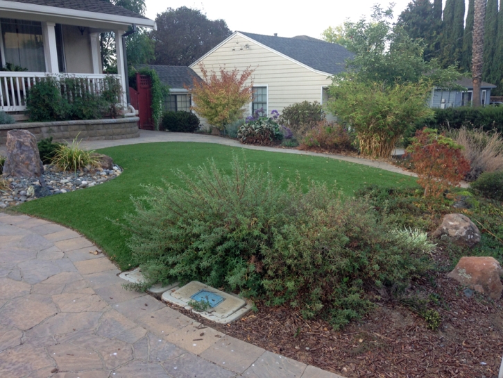 Synthetic Turf Denair, California Lawns, Front Yard Landscape Ideas