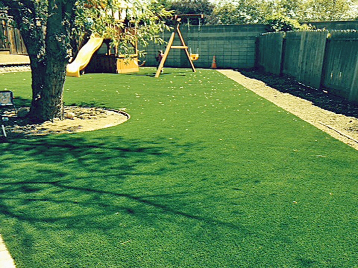 Synthetic Turf Hickman, California Indoor Playground, Backyard Landscaping