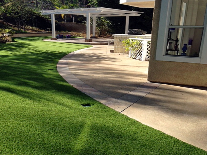 Synthetic Turf Keyes, California Design Ideas, Front Yard