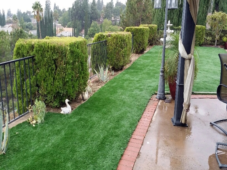 Synthetic Turf Newman, California Landscape Design, Backyard