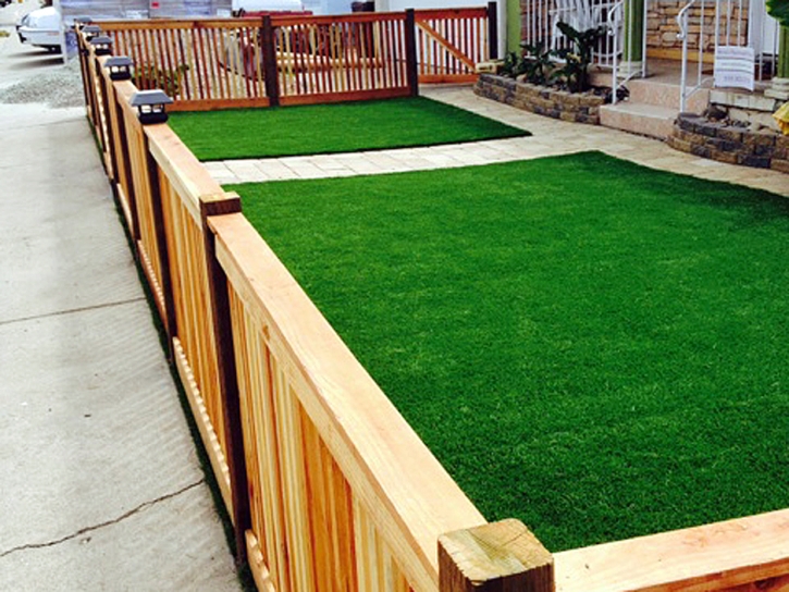 Synthetic Turf Newman, California Lawns, Front Yard Landscaping