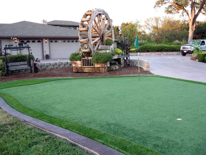 Synthetic Turf Patterson, California Outdoor Putting Green, Front Yard Landscaping Ideas