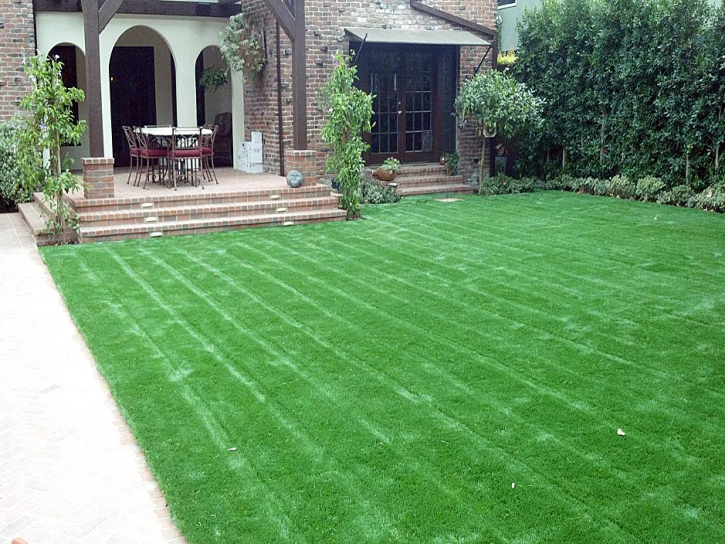 Synthetic Turf Riverdale Park, California Rooftop, Front Yard Ideas