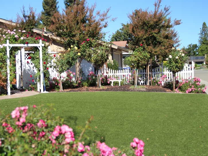 Synthetic Turf Supplier East Oakdale, California Landscape Photos, Front Yard