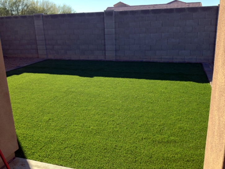 Synthetic Turf Supplier East Oakdale, California City Landscape, Backyard Design