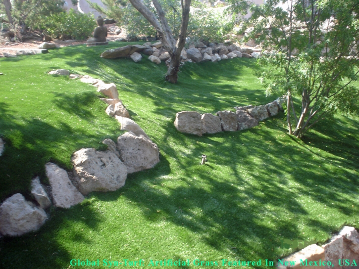 Synthetic Turf Supplier Empire, California Landscape Design, Commercial Landscape