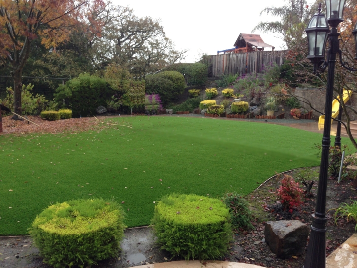 Synthetic Turf Supplier Hickman, California Landscape Photos, Backyards