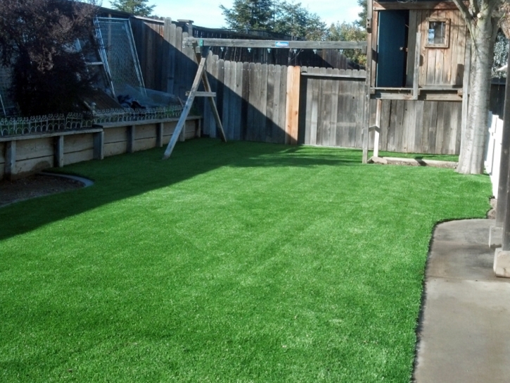 Synthetic Turf Supplier Patterson, California Rooftop, Backyards