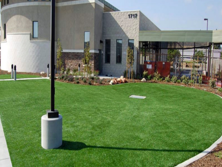 Synthetic Turf Turlock, California Rooftop, Commercial Landscape